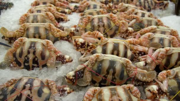 Gros plan du crabe frais sur la glace au marché fermier . — Video