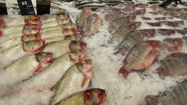Balık pazarında buzlu deniz ürünleri. — Stok video