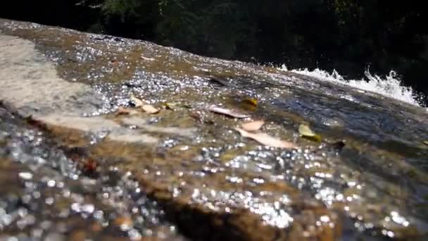 熱帯の滝は森の中にカスケードします。スローモーション. — ストック動画