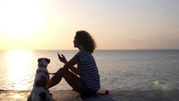 Κορίτσι με το σκυλί που χρησιμοποιούν κινητό τηλέφωνο στη θάλασσα ηλιοβασίλεμα — Αρχείο Βίντεο
