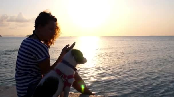 Junge Frau mit Hund benutzt Handy bei Sonnenuntergang — Stockvideo