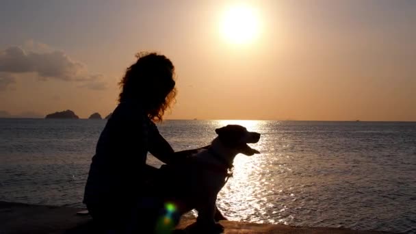 Frau mit süßem Hund am Strand bei Sonnenuntergang. — Stockvideo