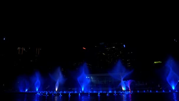 Kolorowy fontannę w nocy — Wideo stockowe