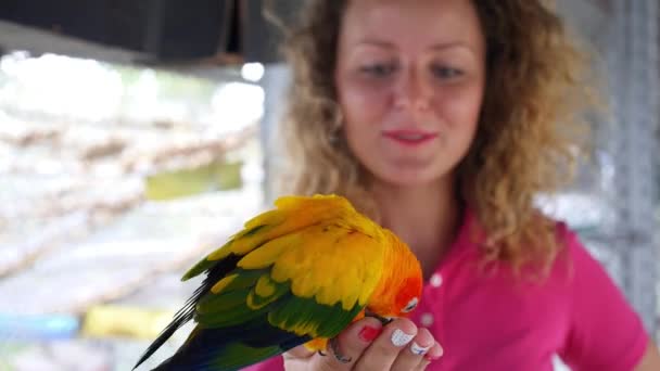 Parrot voeding maïs op Womans Hand. Closeup. — Stockvideo