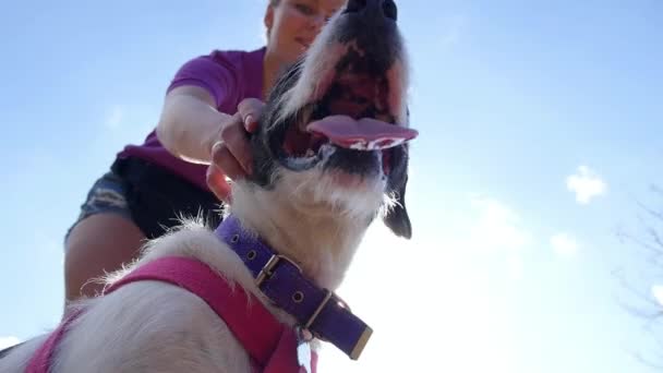 Mulher jovem bonito e seu cão sorridente ao ar livre — Vídeo de Stock