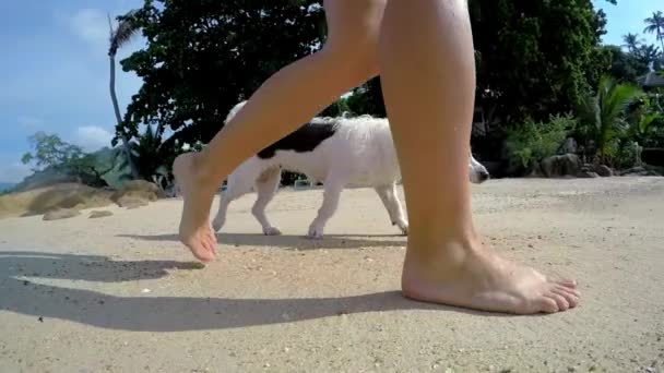 Ung kvinna promenerar med hund på stranden — Stockvideo