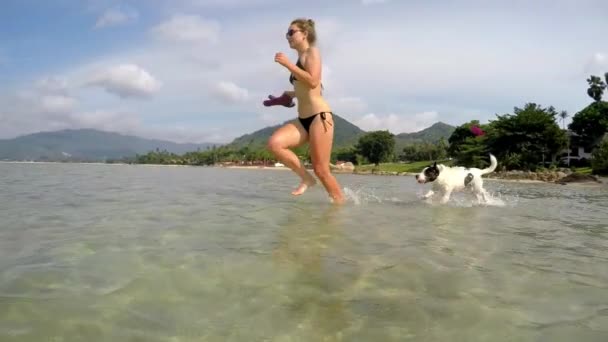 Chica en bikini corriendo con perro en el mar. Moción lenta . — Vídeo de stock