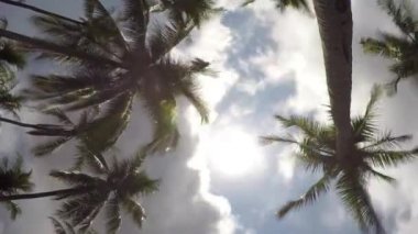 Hindistan cevizi palmiye ağaçları ile kasvetli bulutlar mavi gökyüzünde. Timelapse.