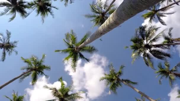 Glada trevliga semester och resor i tropiska exotiskt resmål — Stockvideo