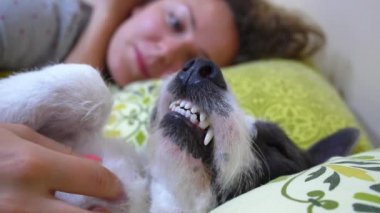 Kız ve köpek yatakta rahat uyku