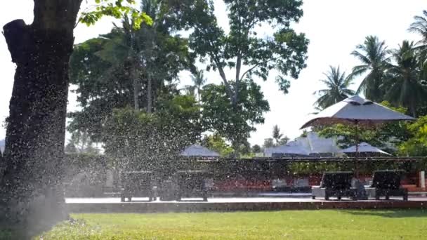 Газону спринклер обприскування води над травою в саду в спекотний літній день — стокове відео