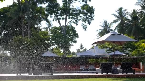 Spruzzatore d'acqua nel giardino del resort nella giornata estiva soleggiata — Video Stock