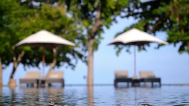 우산 및 여름 휴가에 수영장 갑판의 자 — 비디오