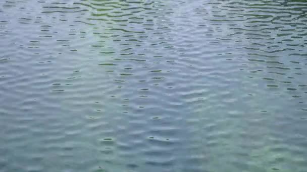 Surface d'ondulation d'eau bleue — Video