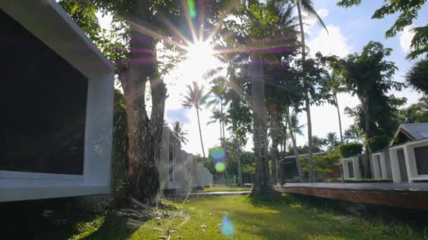 Aspersor de hierba verde Resort rociando agua contra los rayos del sol — Vídeos de Stock