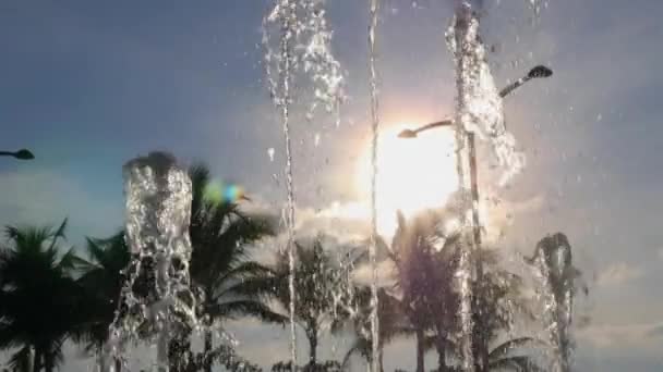 Fountain Water Stream Splashing against Palm Tree and Blue Sky — Stock Video