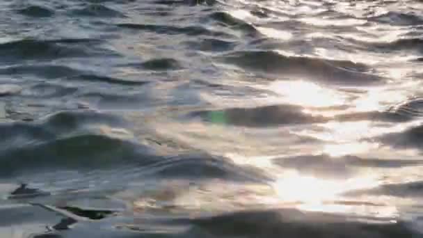Superfície ondulada da água com pôr do sol — Vídeo de Stock