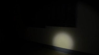 Hırsız evine gizlice girerken el feneri ile