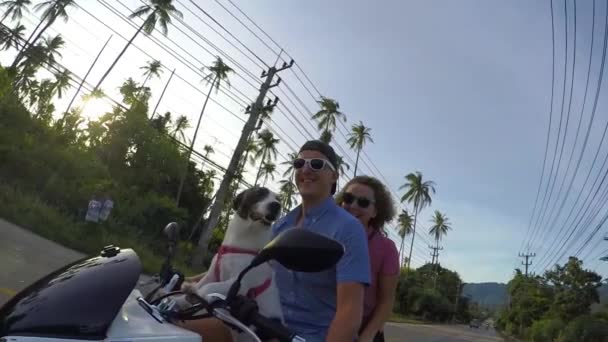 道路の旅を楽しんでいるスクーターの若いカップルの幸せな生活 — ストック動画