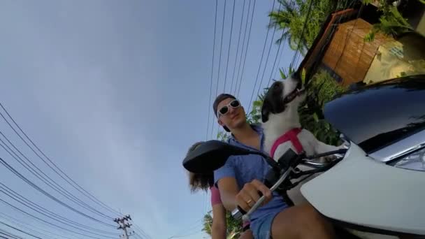 Felicidade, Liberdade, Férias, Amor e Conceito de Transporte — Vídeo de Stock