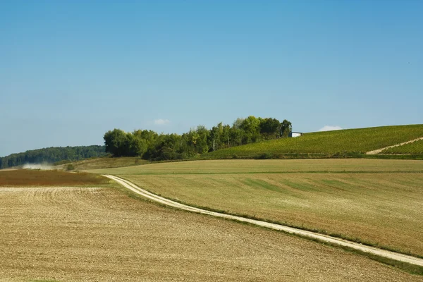 Paisaje rural con carretera, tierras de cultivo y bosque en el medio — Foto de Stock