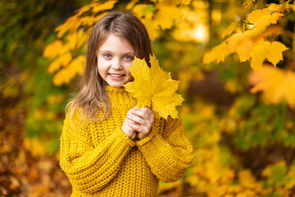 Retrato Outono Criança Sorridente Feliz Que Segura Mãos Folhas Bordo — Fotografia de Stock