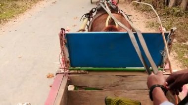 Myanmar ağır çekimde at arabası çalışmasını görüntülemek