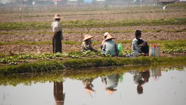 Março 4 2016 grupo de pessoas da aldeia comer e descansar no campo em Myanmar, Nyaungshwe — Vídeo de Stock