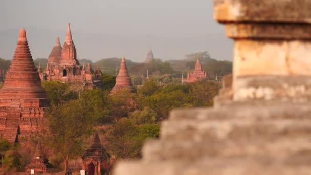 Bagan starożytnego miasta Myanmar dolly strzał widok z góry — Wideo stockowe