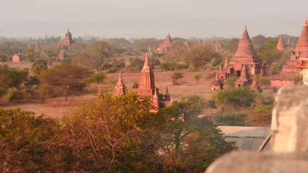Bagan van Myanmar pagodes overdag panoramisch dolly schot observatie — Stockvideo