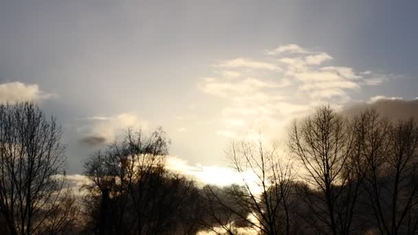 Nuages mouvants et arbres qui tremblent sur l'aile. Jeu de lumière avant le coucher du soleil time lapse — Video