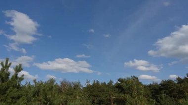 Bulutlar deformasyon yeşil orman zaman atlamalı altında