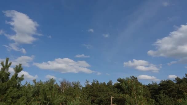 Deformação de nuvens sob o lapso de tempo da floresta verde — Vídeo de Stock