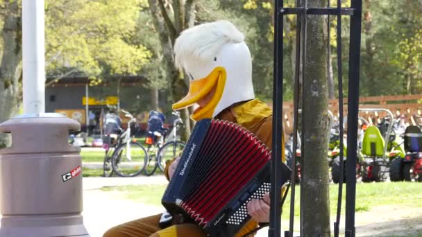 Hombre divertido en máscara de pato jugando acordeón de cerca — Vídeos de Stock