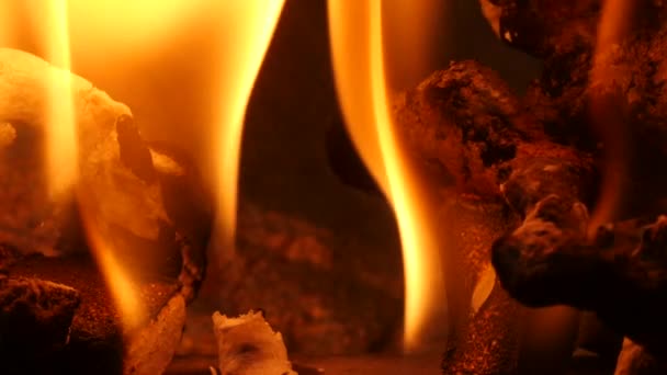 Fuego ardiente del infierno - dolly shot — Vídeos de Stock
