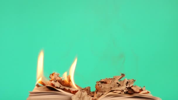 Laying burning book dolly shot chroma key 1 — стоковое видео