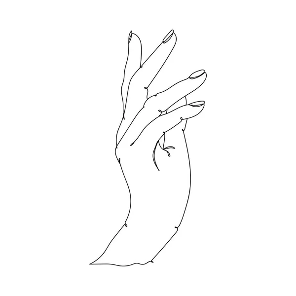 Logo Streszczenie Piękna Ręka Rysunek Jednej Linii Ilustracja Wektora Ciągły — Wektor stockowy
