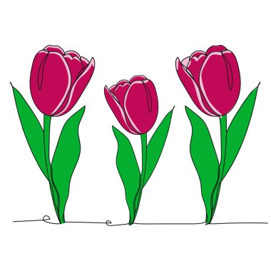 Üç pembe lale. Bir çizgi çiziyor. Vektör illüstrasyonu sürekli çizgi çiziyor.