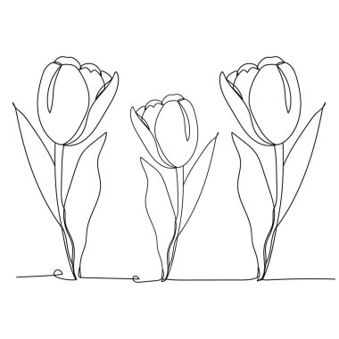 Üç lale. Bir çizgi çiziyor. Vektör illüstrasyonu sürekli çizgi çiziyor...