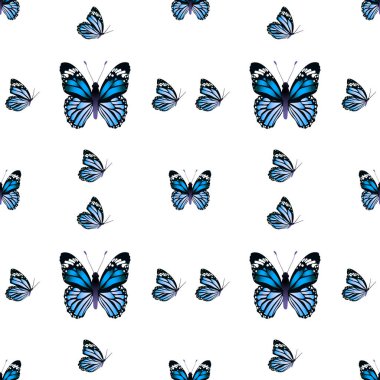 Beyaz arka planda sevimli bir kelebek deseni var. Tebrik kartları, parti davetiyeleri, posterler, çıkartmalar için mükemmel.