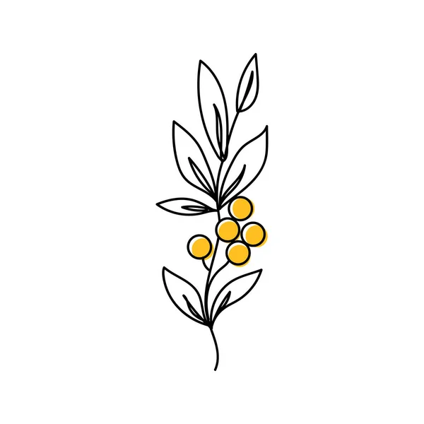 Abstraktní Rostlina Nepřetržitá Jedna Čára Kreslí Abstraktní Květinu Skica Vektorové — Stockový vektor