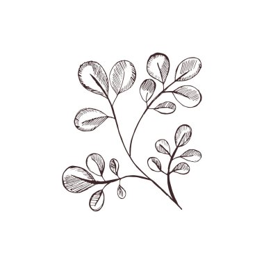 Soyut vektör çizimi. Bir dalın silueti. Asgari düzeyde. Robot resim. Kartlar, parti davetiyeleri, posterler, çıkartmalar, giysiler için mükemmel bir bitki konsepti..