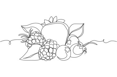 Çilekli böğürtlen ve böğürtlenli böğürtlenleri sürekli karıştırır. Doğrusal biçimlendirilmiş. Minimalist.