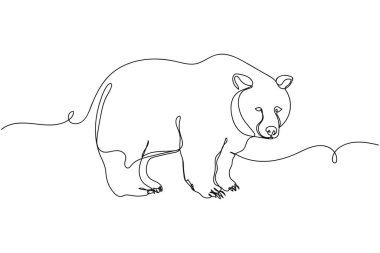 Beyaz arka planda sürekli bir sıra ayı silueti. Doğrusal biçimlendirilmiş. Minimalist.