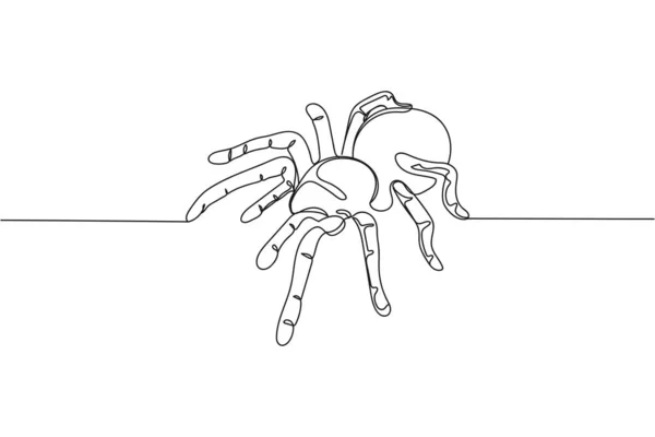 连续一行蜘蛛蛛在白色背景的轮廓中快乐的在一天中的光晕 线性风格 极简主义 — 图库矢量图片