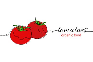 Beyaz arka planda sürekli bir sıra domates ve organik gıda. Doğrusal biçimlendirilmiş. Minimalist.