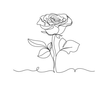 Continuous one line of rose flower in silhouette on a white background. Linear stylized.Minimalist.