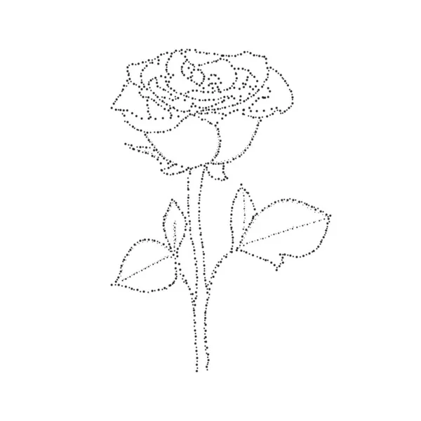 Dot Painting Silhouette Rose Flower Minimal Style Sketch Perfect Cards — Stok Vektör