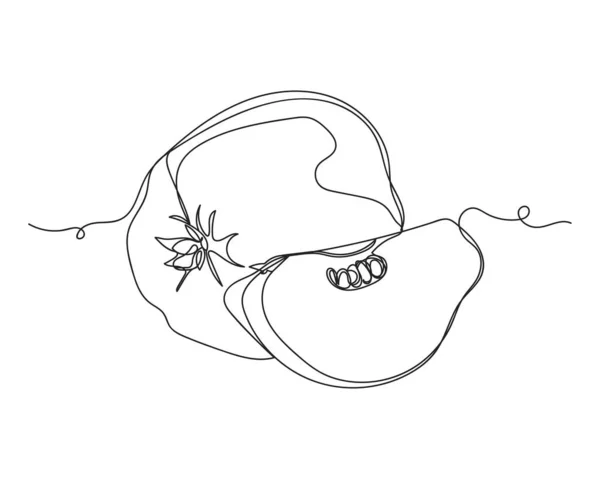 Непрерывный Однолинейный Рисунок Яблочного Айвы Куска Айвы Силуэте Белом Фоне — стоковый вектор