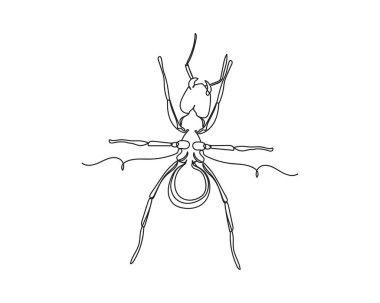 Beyaz arka planda karınca simgesinin sürekli bir çizgi çizimi. Doğrusal biçimlendirilmiş.